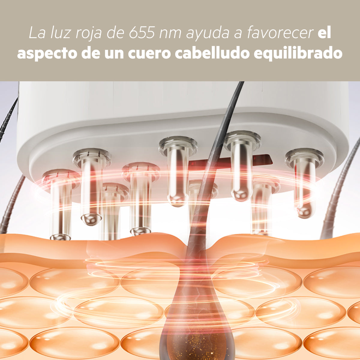Activador Del Cuero Cabelludo | Sistema de Administración de Tratamiento Tópico