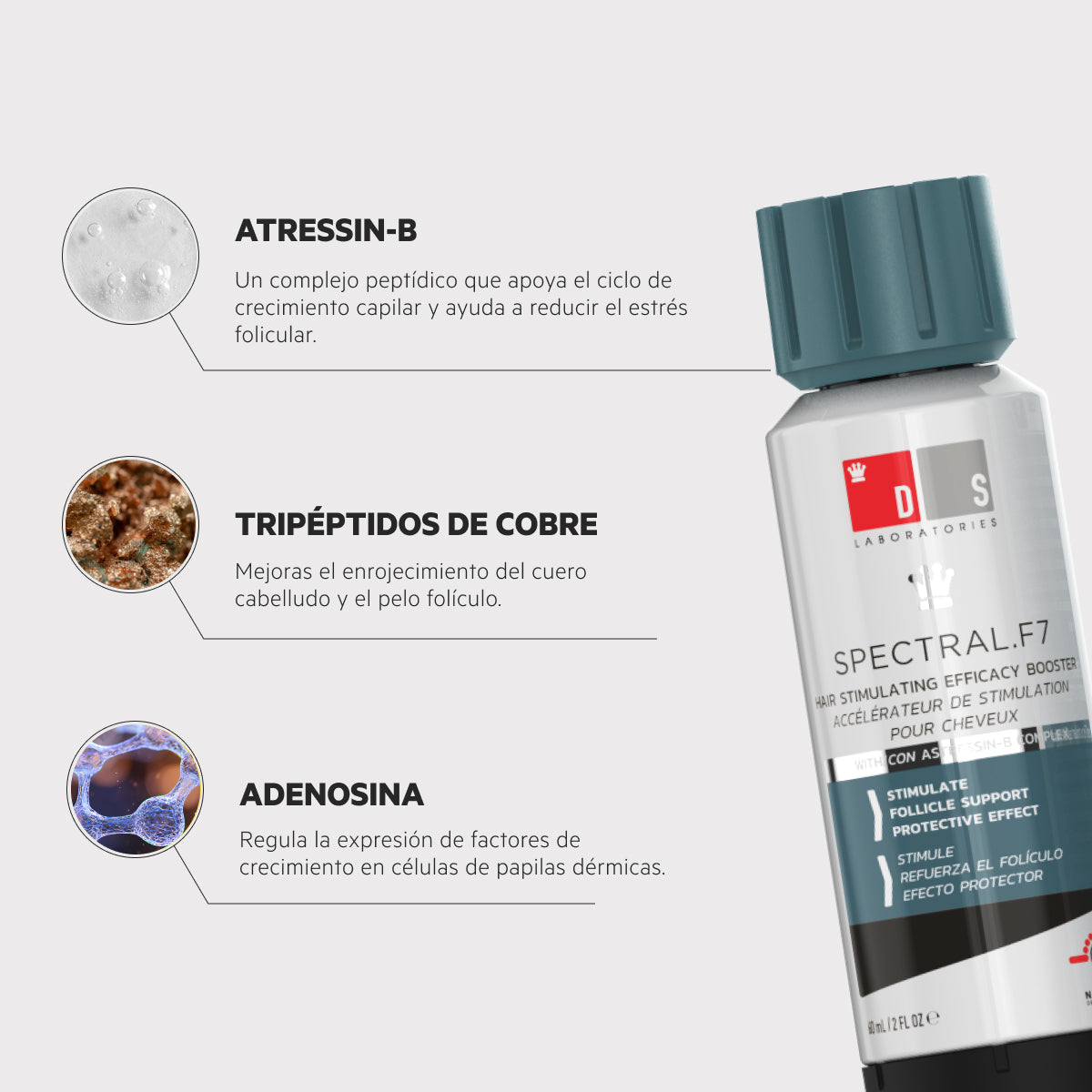 Spectral.F7® | Tratamiento auxiliar anticaída con Astressin-B